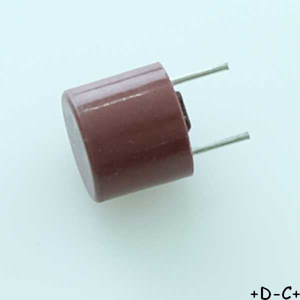 Fusible 6.3A temporisé TR5 miniature 8.5mm 250VAC