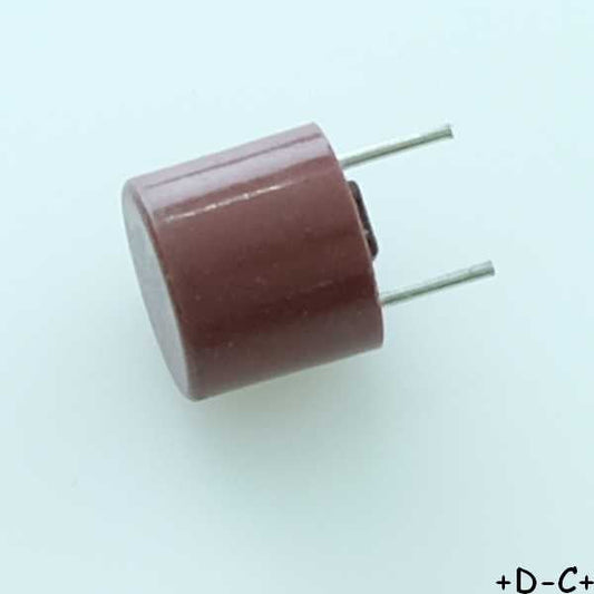 Fusible 5A temporisé TR5 miniature 8.5mm 250VAC